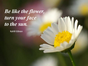 Be like the flower, turn your face to the sun.