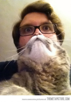 Funny photos funny cat beard man glasses