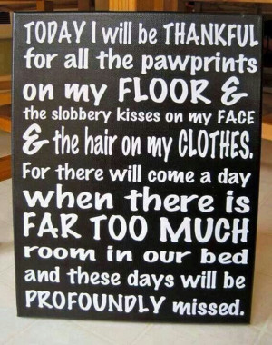 Great sentiment. And hey, if your pet is also a bit stinky, no worries ...