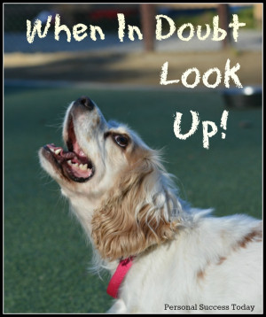 Dog Looking Up Quote