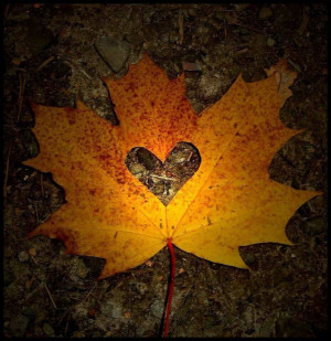 Autumn Leaf Heart