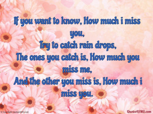 Miss You This Much Quotes How much i miss you,
