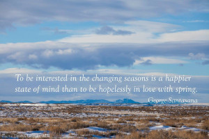 Prairie Inspiration: Timeless Quotes for Reflecting on Nature ...