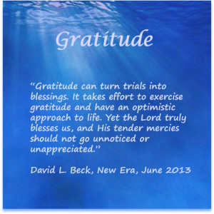 ... mercies should not go unnoticed or unappreciated.” ~David L. Beck
