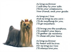10 COMMANDMENTS FOR DOGS