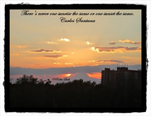 Funny Quotes Contact Dmca...