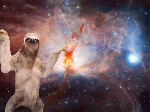 universe cosmo sloths sloth