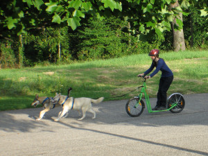 The first video is more recent, the other one is much older and my ...