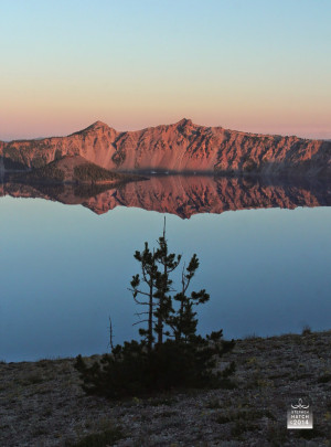 Our depression and self-forgetfulness are a reflection of LIFE's ...