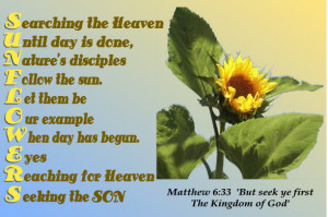 The French appropriately call the sunflower