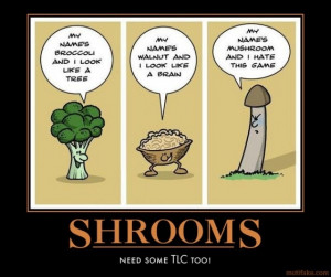 Be careful what you teach your kids.