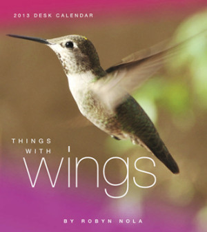 Hummingbird Quotes Life