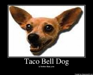 Taco Bell Dog Gidget Dies