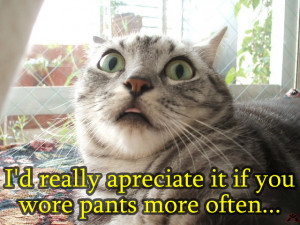 funny-pictures-of-cats-with-captions-the-cat-is-freaked-out2.jpg