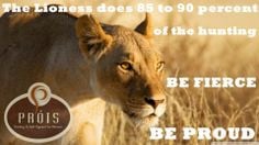 Lioness quotes