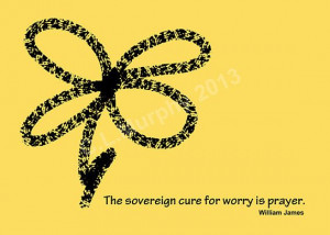 Sovereign Cure for Worry William James Quote 7 x 5