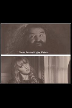 Lol haha funny humor / Harry Potter / Hunger Games / Jennifer Lawrence ...