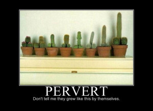 Related Pictures you have a dirty mind don t you funny picture funny ...