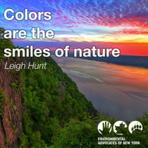 Environmental quotes wise sayings deep smiles