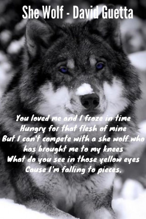 She Wolf #lyric by #DavidGuetta