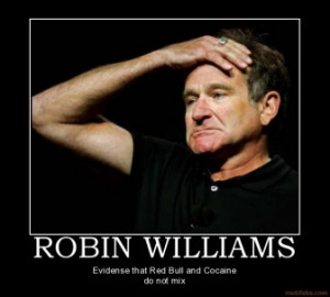 robin-williams-robin-williams-facepalm-demotivational-poster ...