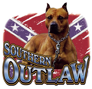 SOUTHERN OUTLAW - PIT BULL