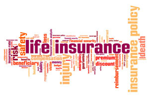 Instant Life Insurance Quotes for Life Insurance Awareness Month