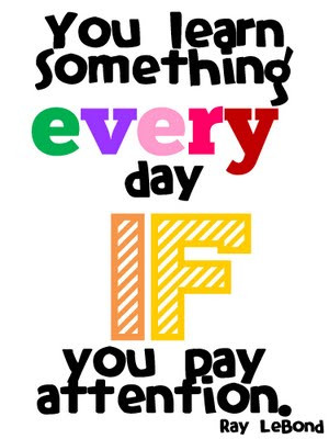 You learn Something Every day if you pay Attention – Blessings Quote
