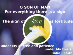 love is fortitude under My decree and patience under My trials. Baha ...