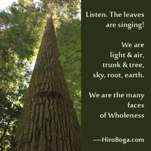 We are the many faces of Wholeness.