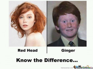 Gingers....there IS a difference, but I'm not minding either moniker ...