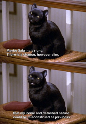 47 Reasons Salem From ‘Sabrina The Teenage Witch’ Is Your Spirit ...
