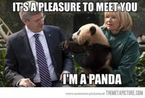 Panda Quotes Funny Funny hi im Panda Shaking Hand
