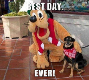 This dog who met Goofy is having the best day ever!