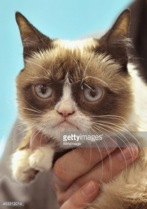 Grumpy Guide To Life: Observations From Grumpy Cat' Book Event : News ...