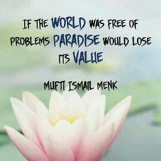 mufti ismail menk more islam quotes religious quotes quotes advice ...