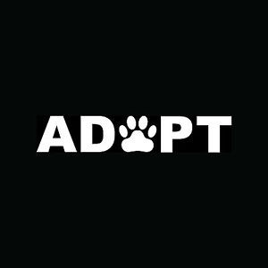 Volunteer and Adopt