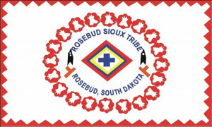 Rosebud Sioux Tribe's Information Lockdown, Constitutional Violations