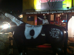 my picture for the blog of unnecessary quotation marks the horse s ...