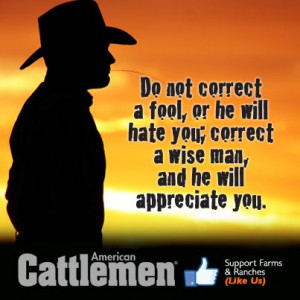 Do not correct a fool, or he will hate you; correct a wise man, and he ...