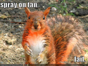 cats : funny-pictures-spray-tan-red-squirrel