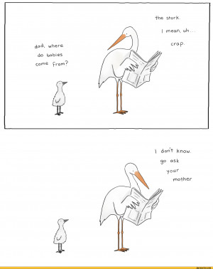 ... dont Know.,comics,funny comics & strips, cartoons,lizclimo,baby,stork