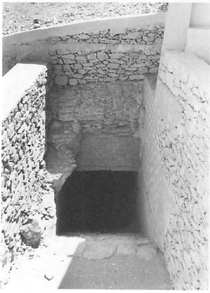 view original image )