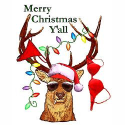 christmas_bubba_deer_greeting_card.jpg?height=250&width=250 ...