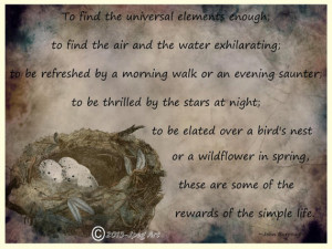 Vintage Bird Nest Illustration, With Quote By John Burroughs, Nature ...