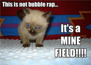 Funny-cat-Mine-field-resizecrop--.jpg
