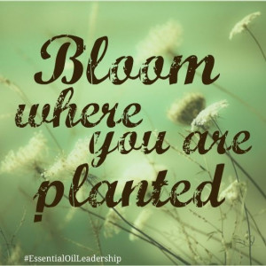 inspire #bloom #quote #EssentialOilLeadership