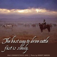 Cowboy Ethics, Cattle, Cowboys, www.cowboyethics.org More
