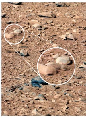 Squirrel On Mars It's a cute rodent on mars.