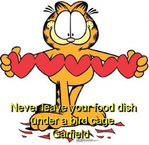 Garfield, quotes, sayings, cat, food dish, birds